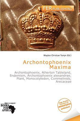 Archontophoenix Maxima