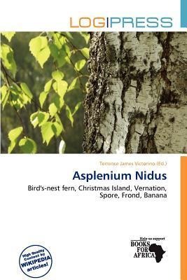 Asplenium Nidus