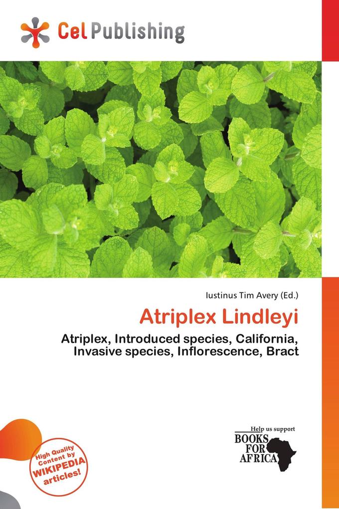 Atriplex Lindleyi
