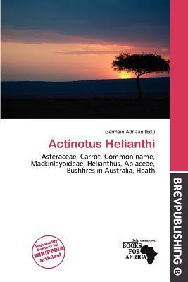 Actinotus Helianthi