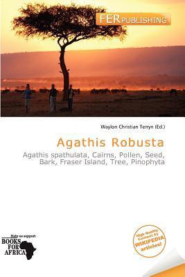 Agathis Robusta