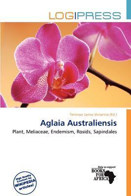 Aglaia Australiensis