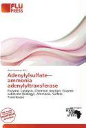 Adenylylsulfate-ammonia adenylyltransferase