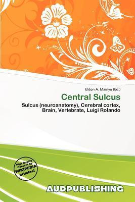 Central Sulcus