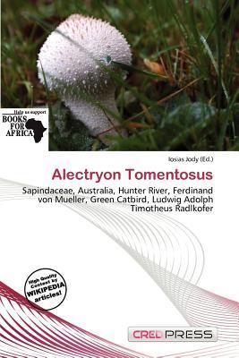 Alectryon Tomentosus