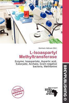L-Isoaspartyl Methyltransferase
