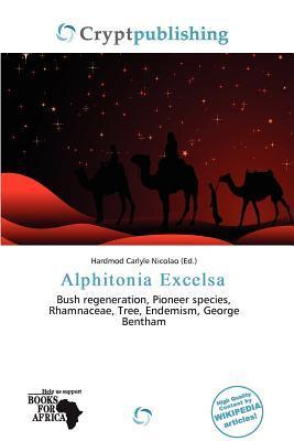 Alphitonia Excelsa