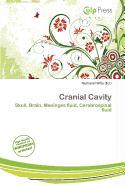 Cranial Cavity