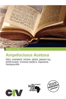 Ampelocissus Acetosa