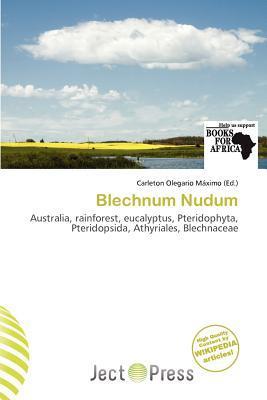 Blechnum Nudum