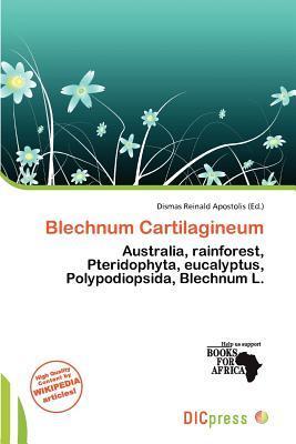 Blechnum Cartilagineum