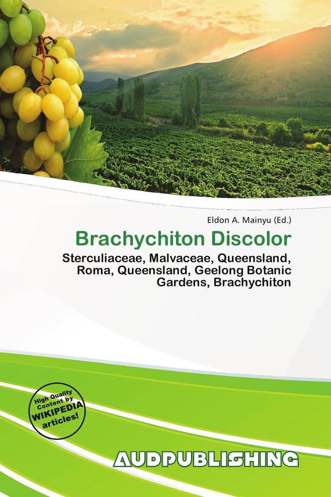 Brachychiton Discolor