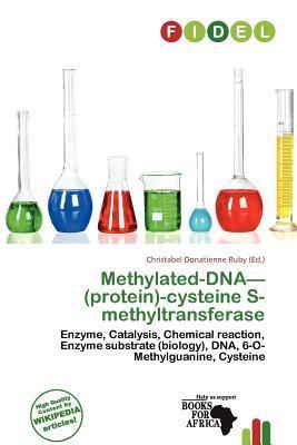 Methylated-DNA-(protein)-cysteine S-methyltransferase