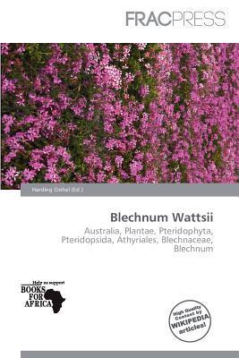 Blechnum Wattsii
