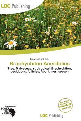 Brachychiton Acerifolius