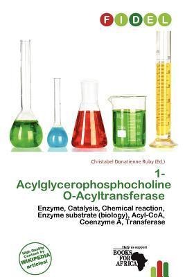 1-Acylglycerophosphocholine O-Acyltransferase