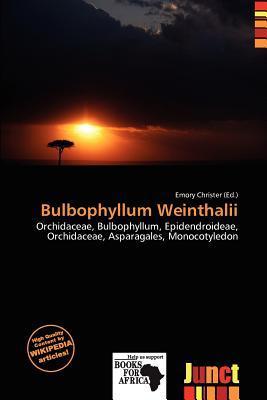 Bulbophyllum Weinthalii