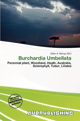 Burchardia Umbellata