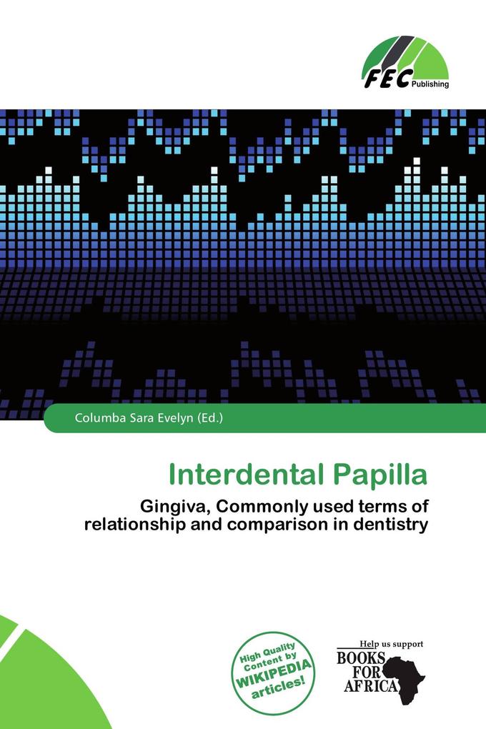 Interdental Papilla