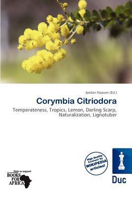 Corymbia Citriodora