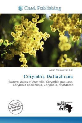 Corymbia Dallachiana