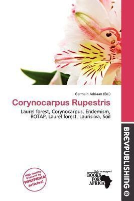 Corynocarpus Rupestris