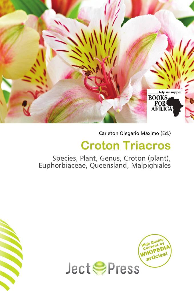 Croton Triacros