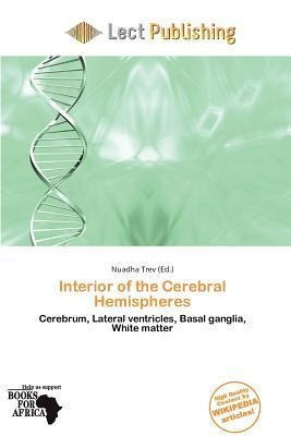 Interior of the Cerebral Hemispheres