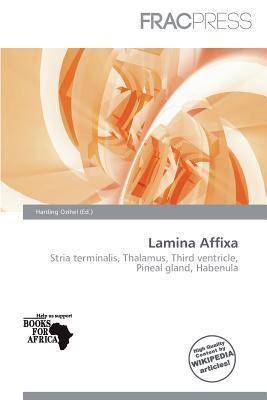 Lamina Affixa