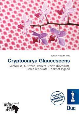 Cryptocarya Glaucescens