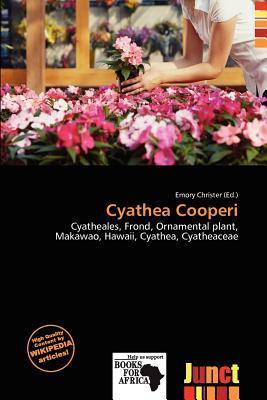 Cyathea Cooperi