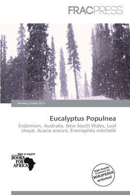 Eucalyptus Populnea