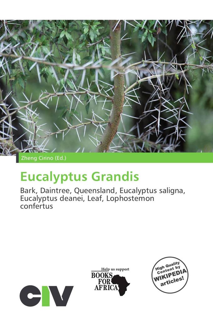 Eucalyptus Grandis