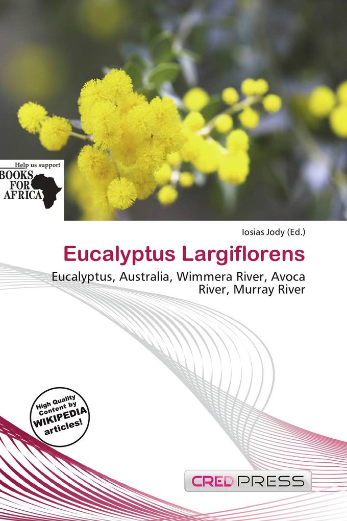 Eucalyptus Largiflorens