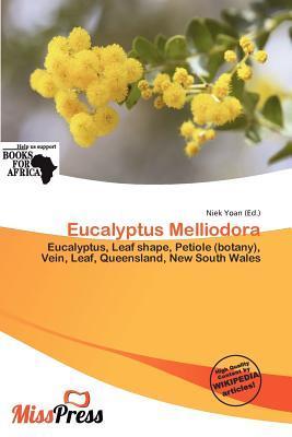 Eucalyptus Melliodora