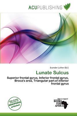 Lunate Sulcus