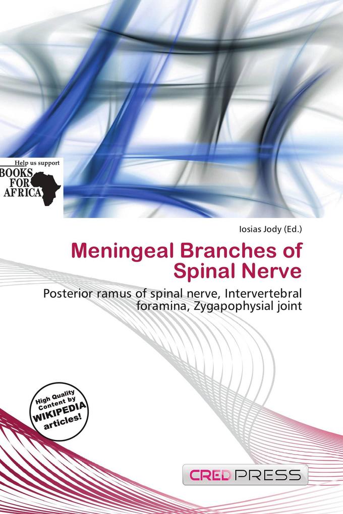 Meningeal Branches of Spinal Nerve
