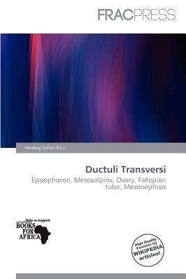 Ductuli Transversi