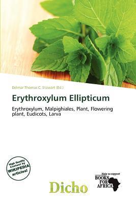 Erythroxylum Ellipticum