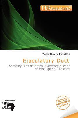 Ejaculatory Duct