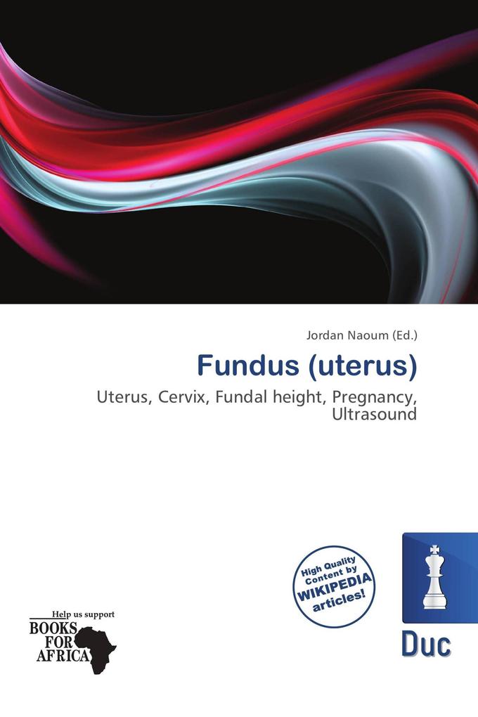 Fundus (uterus)