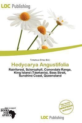 Hedycarya Angustifolia