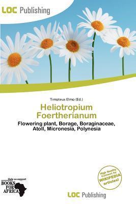 Heliotropium Foertherianum