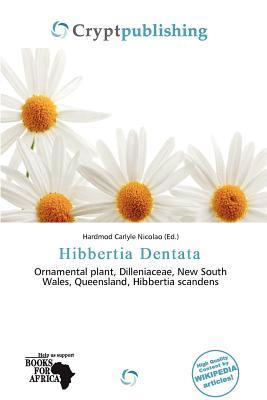Hibbertia Dentata