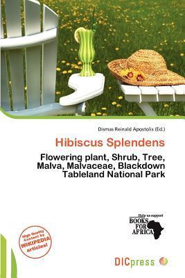 Hibiscus Splendens