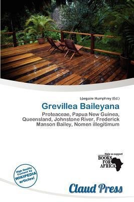 Grevillea Baileyana