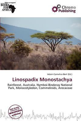 Linospadix Monostachya
