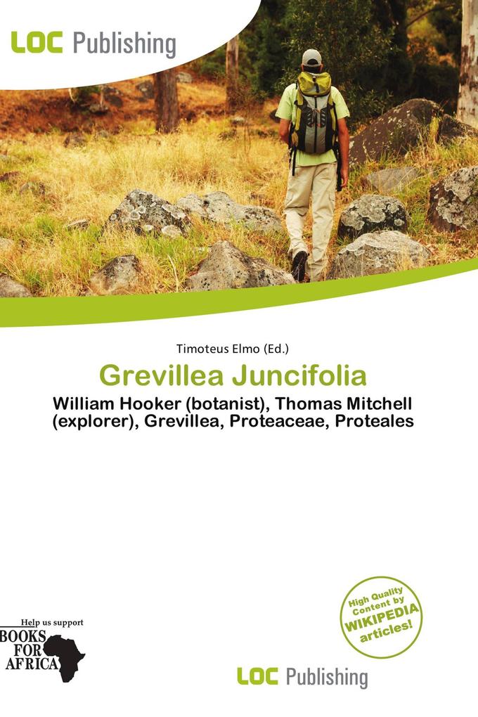 Grevillea Juncifolia