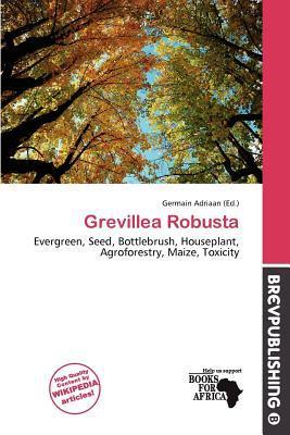 Grevillea Robusta