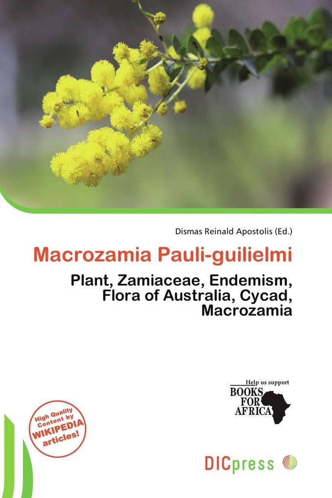 Macrozamia Pauli-guilielmi